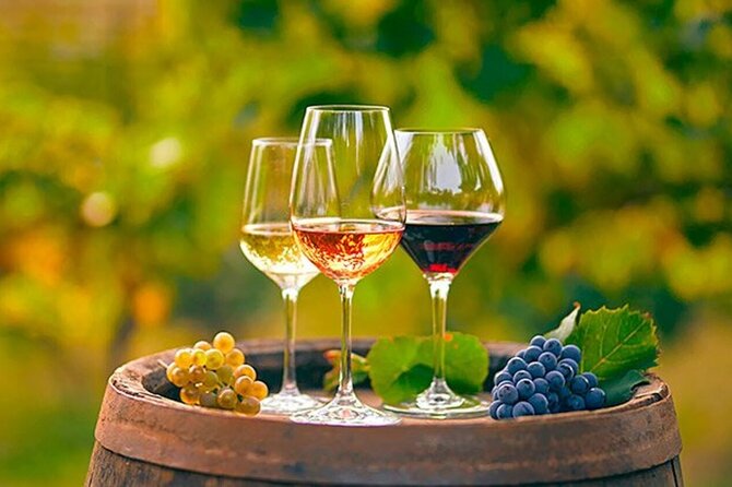 Alicante: Old Winery with Tastings & Gaudí's style of Church - Three wines with simple local snacks