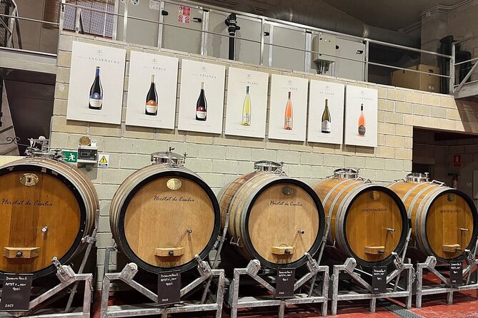Alicante: Old Winery with Tastings & Gaudí's style of Church - Who should book this Novelda wine tour
