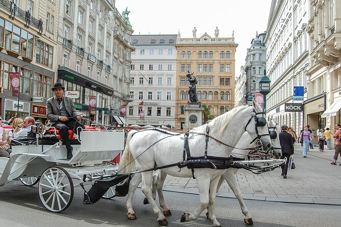 An Architectural insight of Vienna on a Private Tour with a local - Starting at Stephansplatz in central Vienna