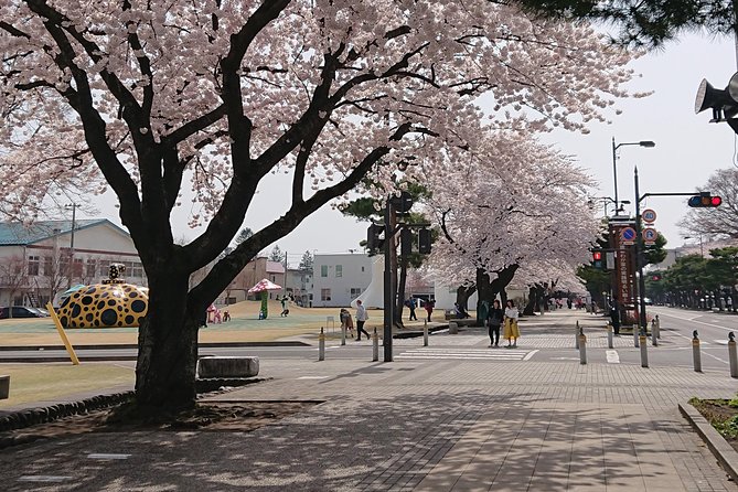 [Aomori Prefecture] Tour the history and architecture in Towada City, the art city - Why Towada works so well as an architecture walk