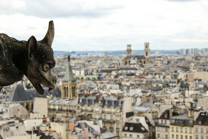 Architectural Paris: Private Tour with a Local Expert - Notre Dame and the drama of French Gothic design