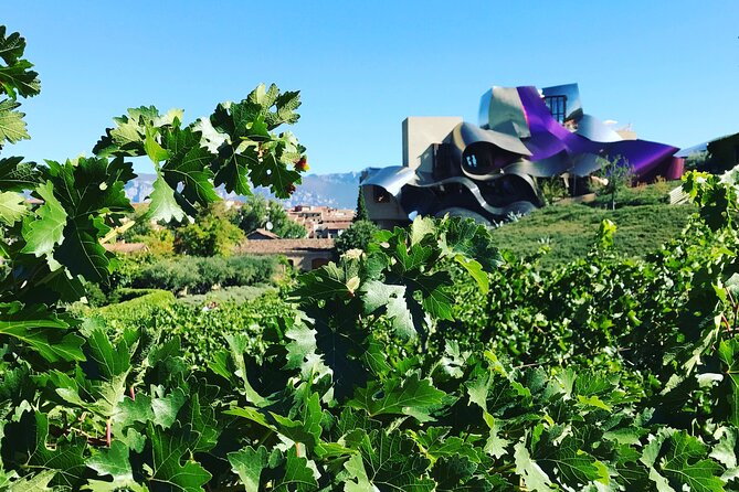 Architectural Rioja Small Group Wine Tour with Lunch from Bilbao - Why the small group makes a difference