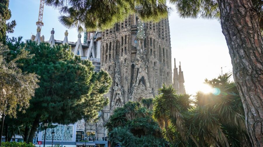 Barcelona: Gothic Quarter & La Sagrada Familia Private Tour - Montjuïc brings the city into view