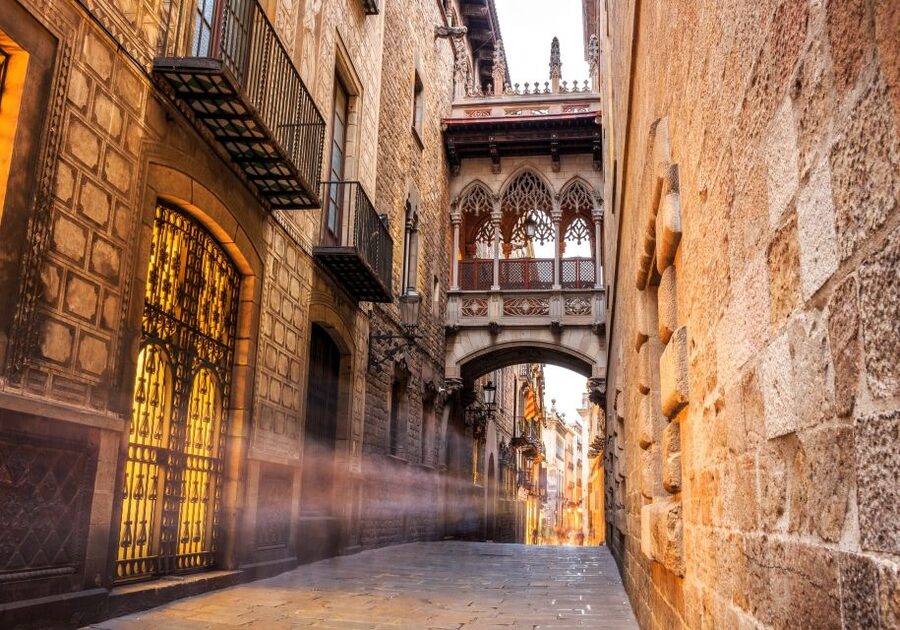 Barcelona Gothic Quarter Private Walking Tour - Starting at El Cap de Barcelona and the harbor