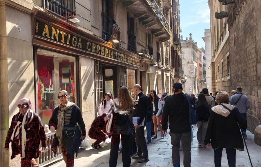 Barcelona: Gothic Quarter Walking Tour - What the pace and access are really like