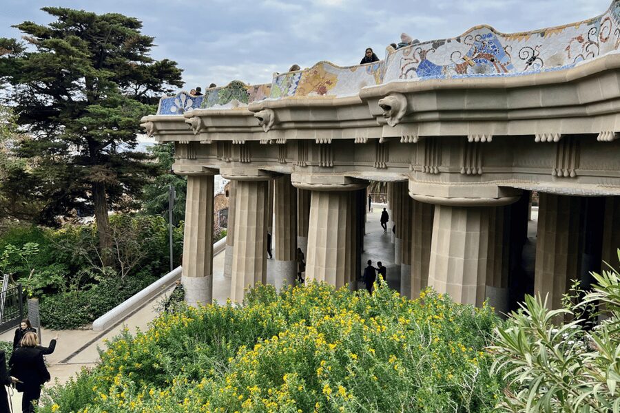Barcelona: La Sagrada Familia & Park Guell Small-Group Tour - Barcelona Cathedral and its terrace