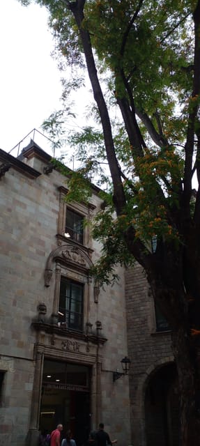 Barcelona: Mystical Walking Tour in the Gothic Quarter - From the Gothic Quarter to its symbolic details