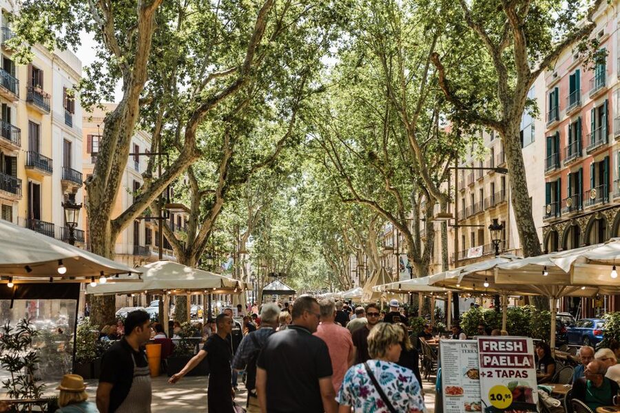 Barcelona: Private Custom Tour with a Local – Icons & Gems - The café or market pause