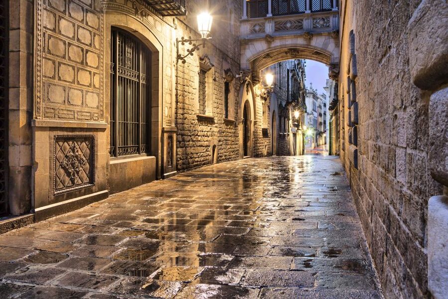 Barcelona: Private Custom Tour with a Local – Icons & Gems - Practical value at $53 per person