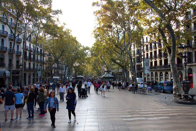 Barcelona's El Raval and the Gothic Quarter: A Self-Guided Audio Tour - Narrow lanes and the stories behind them