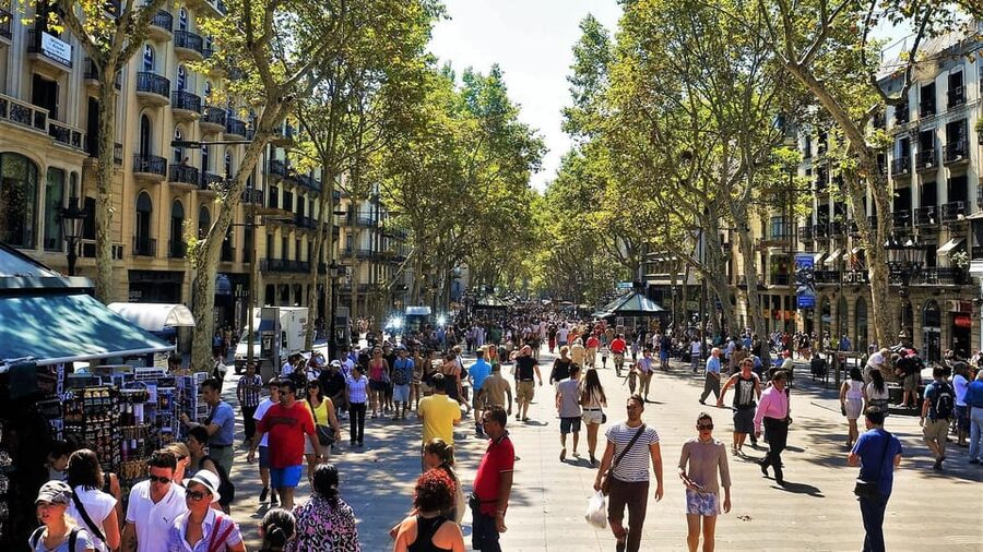 Barcelona: Sagrada Familia and Park Güell with Hotel Pickup - A lunch pause near Sagrada Familia
