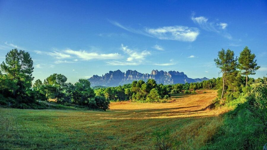 Barcelona: Sagrada Familia & Montserrat Full-Day with Pickup - Who should book this full-day route?