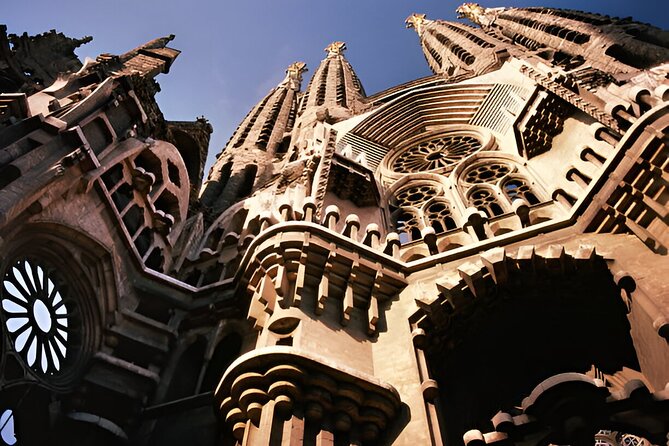 Barcelona Sagrada Familia Priority Access Tour - Inside the basilica, columns become a stone forest