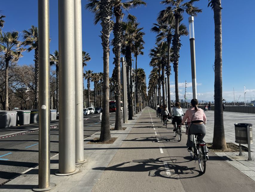 Barcelona: Sagrada Familia Private E-Scooter Tour - Choosing Between a Bike and an E-Scooter