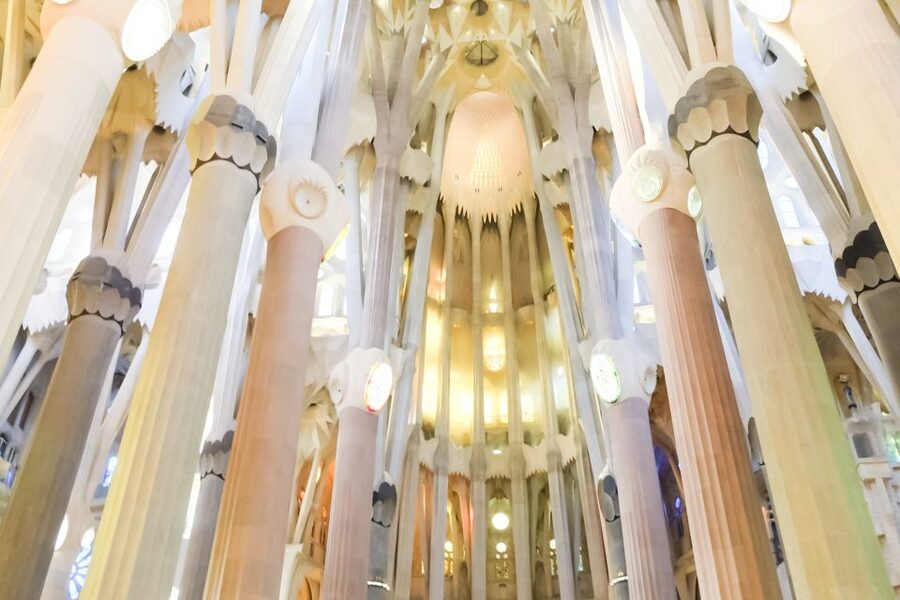 Barcelona: Sagrada Familia Tour with Optional Tower Access - Choosing the tower option