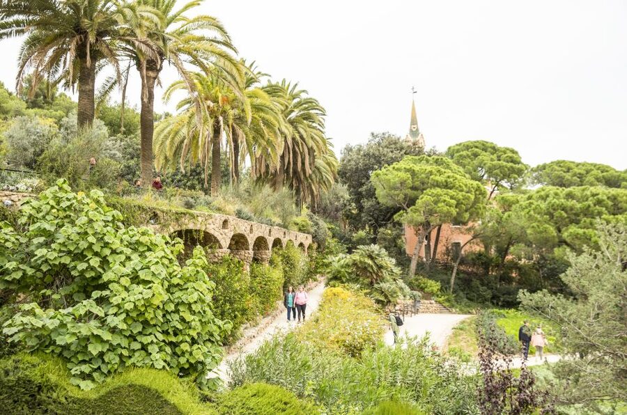 Barcelona: Sagrada Familia with Towers and Park Güell Tour - Is $128 good value?