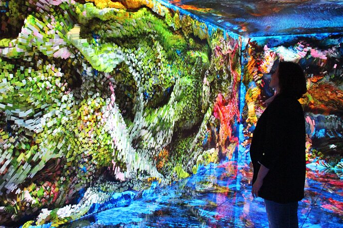 Casa Batllo Admission Ticket with Intelligent Audio Guide - Choosing between the ticket options