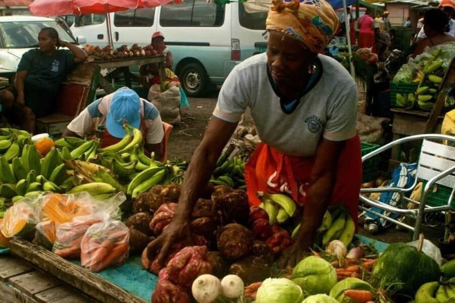 Castries: Guided City Architecture and Castries Market Tour - Key points at a glance