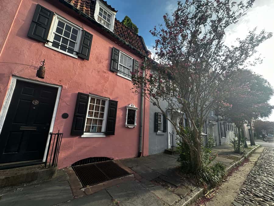 Charleston: History and Architecture Guided Walking Tour - Who should book this Charleston walking tour?