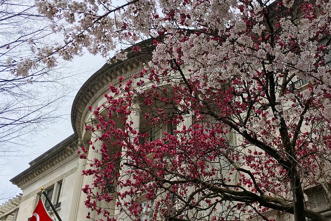 Dupont Circle and Embassy Row Architectural Walking Tour - Finishing at The Phillips Collection