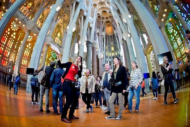 Explore Barcelona with a Private Gaudí Experience - Casa Batlló and Gaudí’s organic style