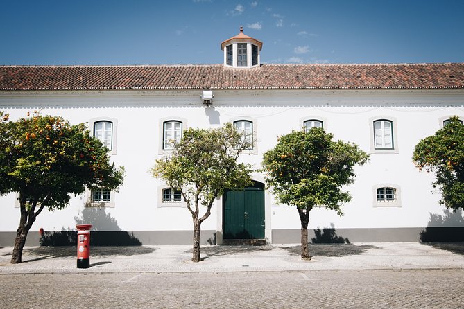 Faro Private Walking Tour: Uncovering its Architectural Legacy - Stories that give the buildings a human side