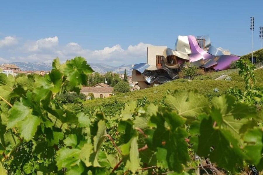From Bilbao: Rioja Architecture and Wine Tour - Key points at a glance