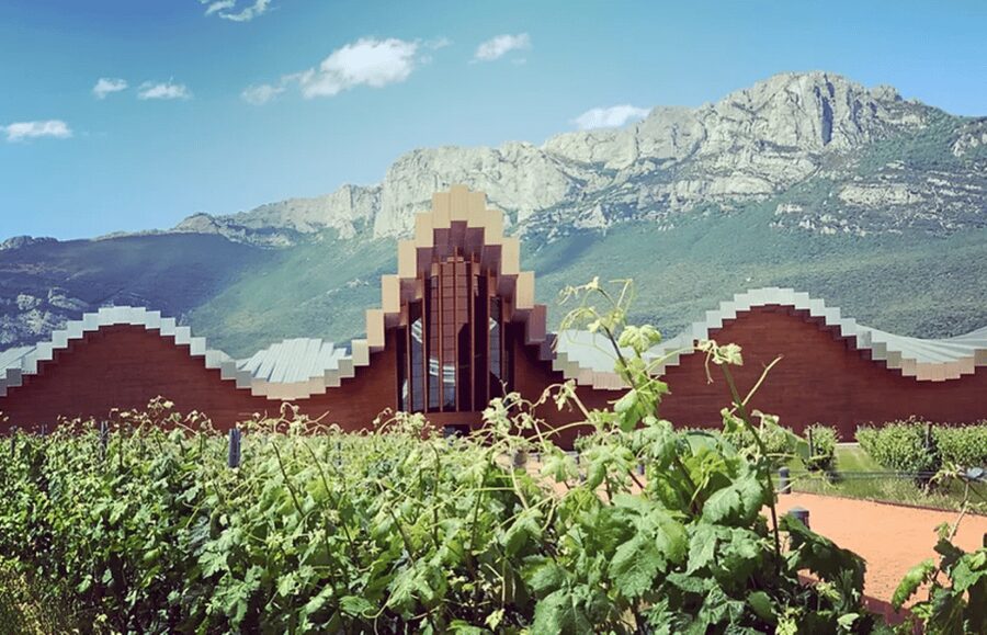 From Bilbao: Rioja Architecture and Wine Tour - What the wine tasting actually gives you