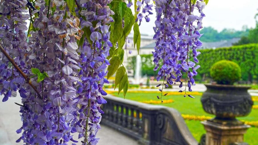 From Vienna: Melk Abbey to Salzburg - Baroque Gems - Melk Abbey and its Baroque showpieces