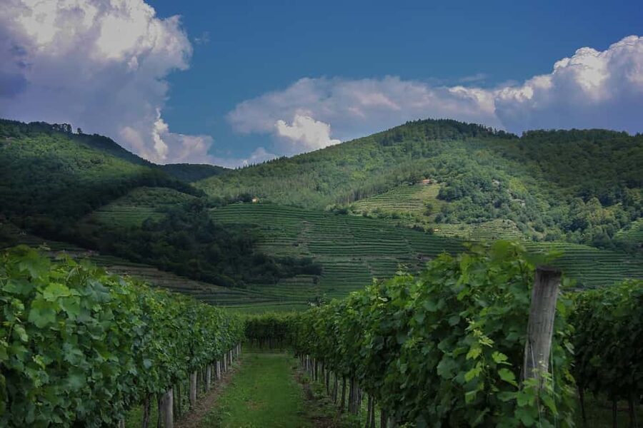 From Vienna: Melk Abbey to Salzburg - Baroque Gems - Transport, walking, and seasonal details