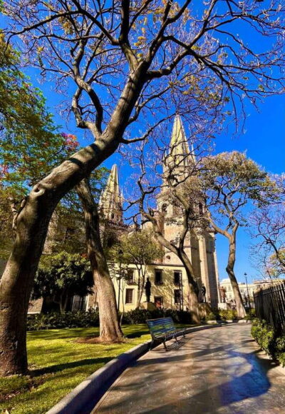 Guadalajara: Private Food Tour and Architecture Sightseeing