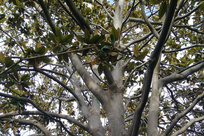 Guided Tour Ciutadella Park Nature, Triumphal Arch and Gaudí in Barcelona. - Why Ciutadella Park Deserves More Than a Quick Walk