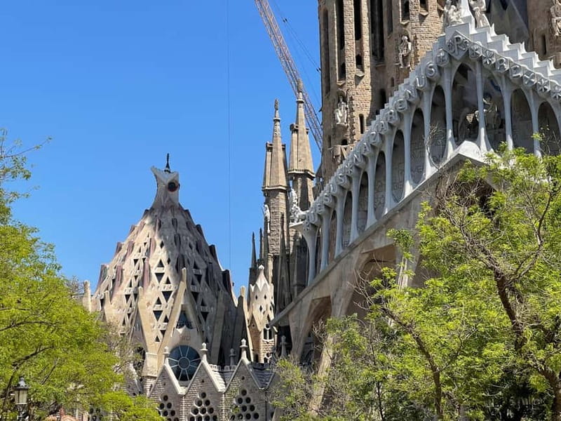 Guided Tour of Sagrada Familia - Gaudi's dream - Inside the stone forest