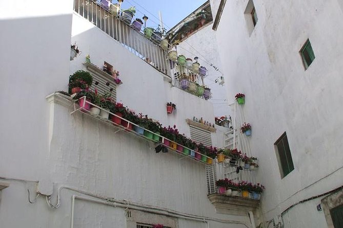 Martina Franca: a gem among Baroque and Rococo style with bocconotti tasting - Key points to know before booking