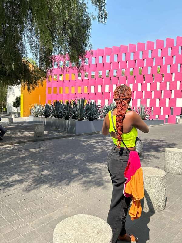 Mexico City: 1960s &1970s Mexican Architecture Walking Tour - From ancient references to the Tamayo Museum
