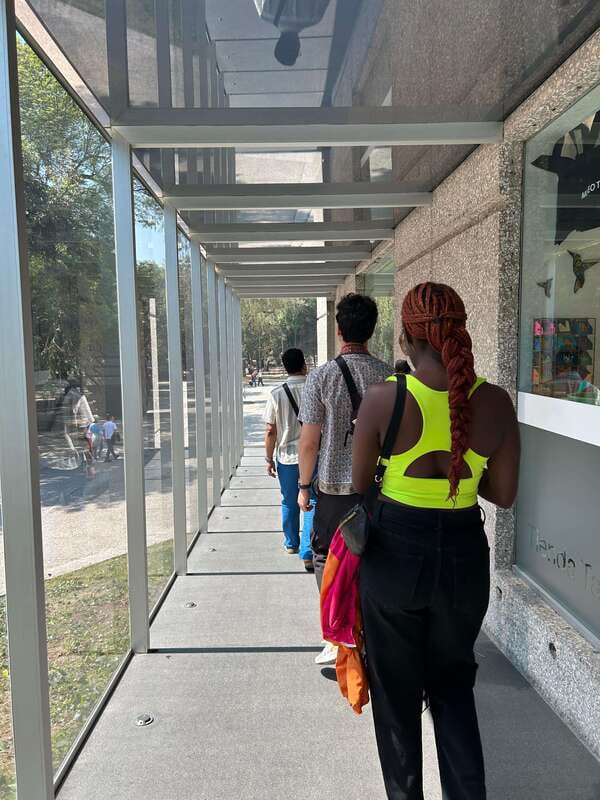 Mexico City: 1960s &1970s Mexican Architecture Walking Tour - Walking, timing, and what to bring