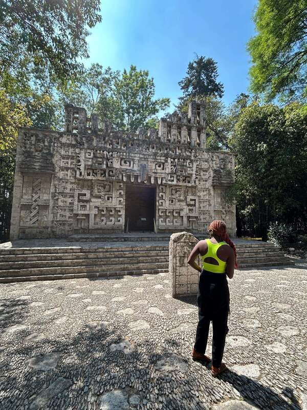 Mexico City: 1960s &1970s Mexican Architecture Walking Tour - Who will get the most from this tour