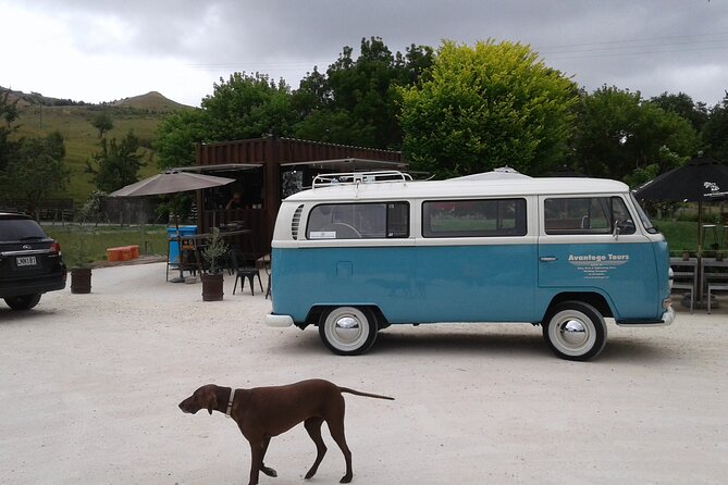 Napier and Hawkes Bay Scenic and Art Deco Tour by VW Kombi - Coffee at the Red Bridge Container Café