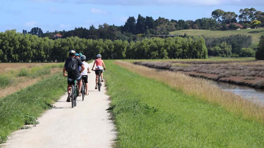 Napier: Art Deco Bike Ride and Wineries Loop - Starting in Ahuriri with a choice of distance