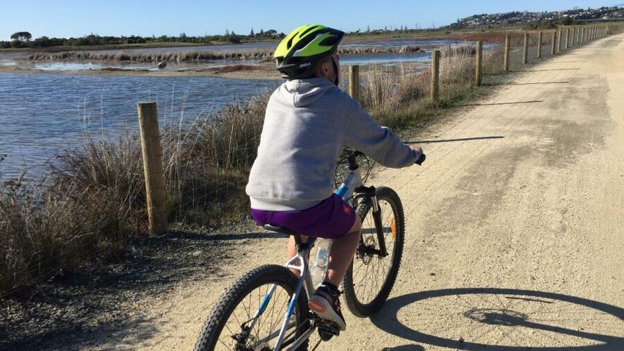 Napier: Art Deco Bike Ride and Wineries Loop - FAQ