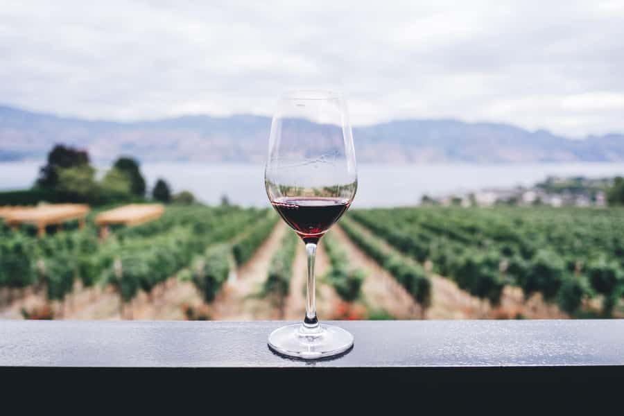 Napier: Art Deco Bike Ride and Wineries Loop - Coastal riding with Cape Kidnappers in view