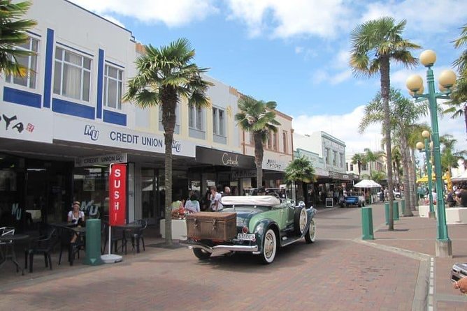 Napier Shore Excursion: Wine & Art Deco Tour - Why Napier’s earthquake story matters