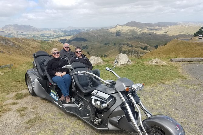 Napier Shore Excursion: Wine & Art Deco Tour - Is $102.39 good value?