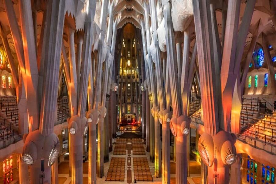Official Sagrada Familia Guided Tour with Tower Access - Inside Gaudí’s stone forest