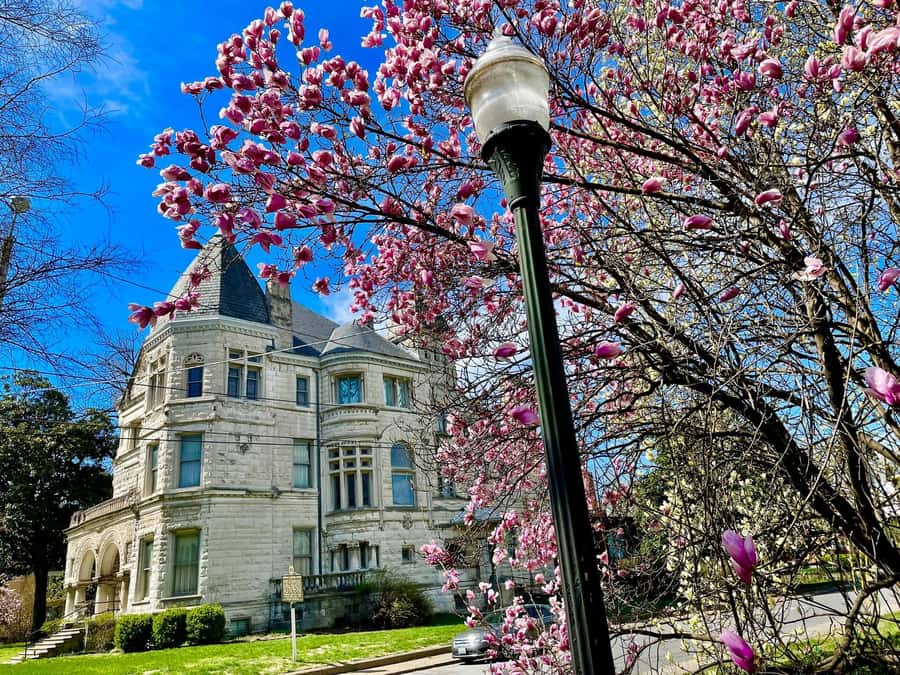 Old Louisville: History and Architecture Walking Tour - Stories that keep the architecture from feeling dry