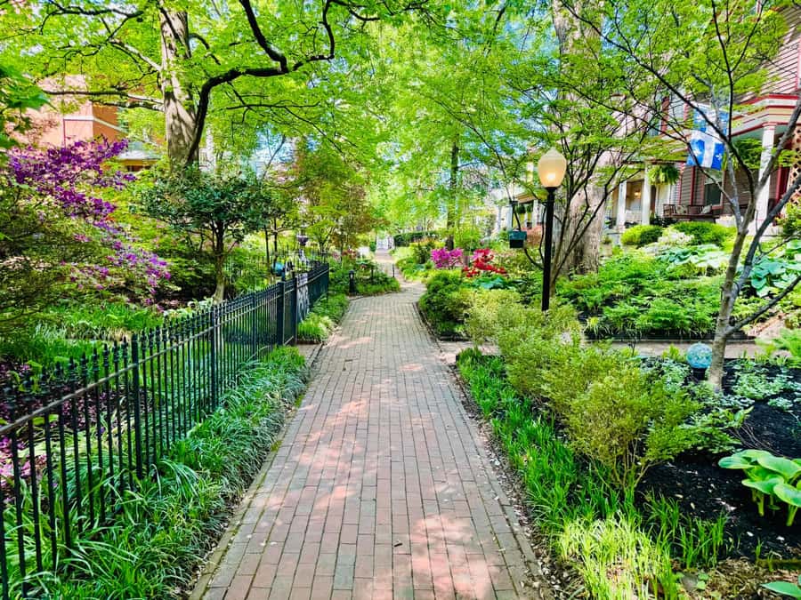 Old Louisville: History and Architecture Walking Tour - Mansions, cottages, and the many faces of Victorian Louisville