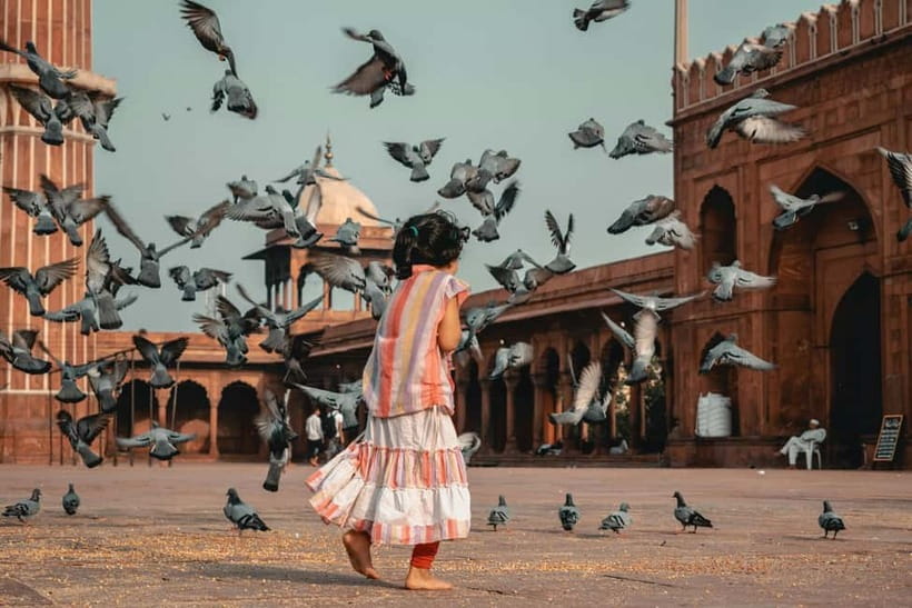 Old & New Delhi Culture & Architecture City Private Tour - Akshardham and Delhi’s modern temple style