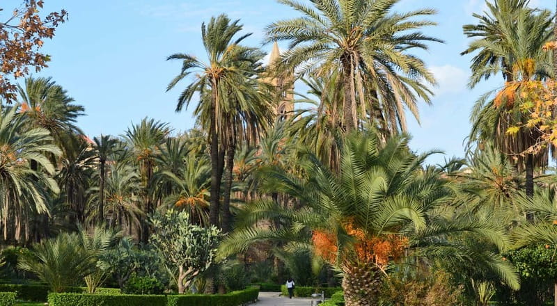 Palermo: Art and Architecture Walking Tour - Fontana Pretoria and the city’s theatrical side