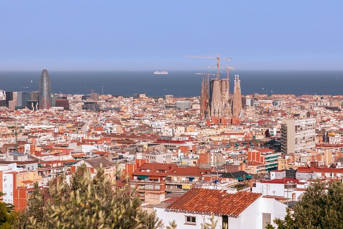 Park Guell Guided Group Tour with Optional Sagrada Familia - Meeting the group near Carrer de Larrard