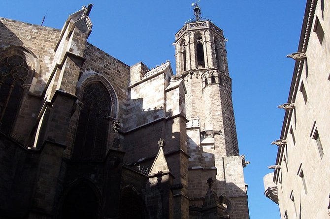 Picasso Museum & Private Walking Tour of Born or Gothic Quarter - Starting at the Picasso Museum on Carrer de Montcada
